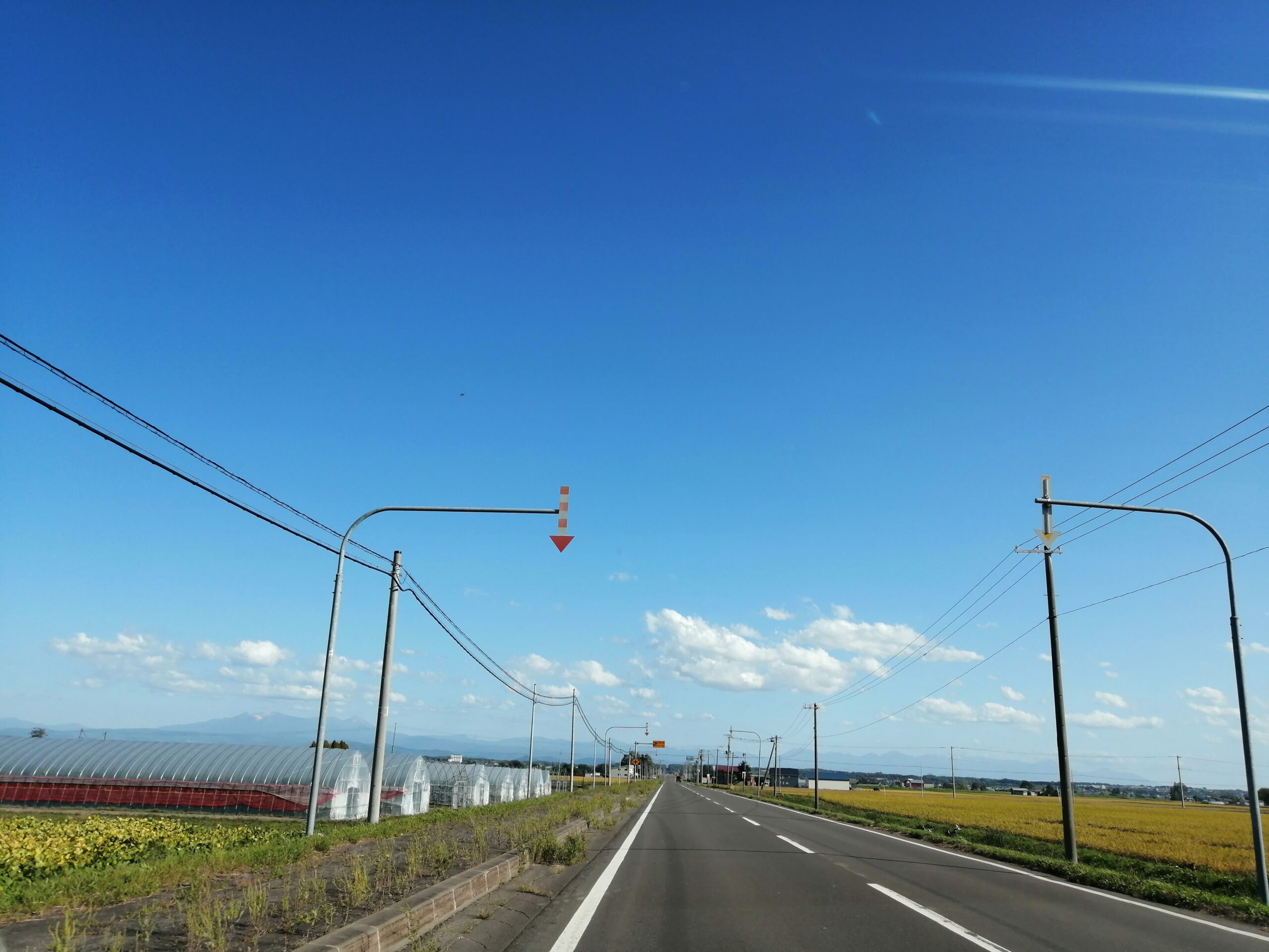 プレースホルダー画像